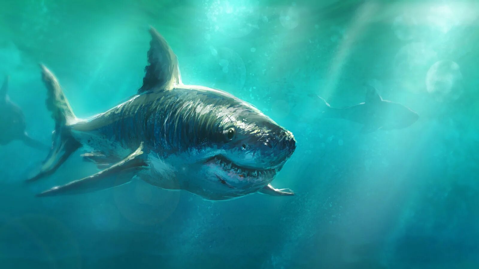 Злая акула. Акула белая, акула-людоед, кархародон. Злом акула. Мегалодон и белая акула. Злом акула.