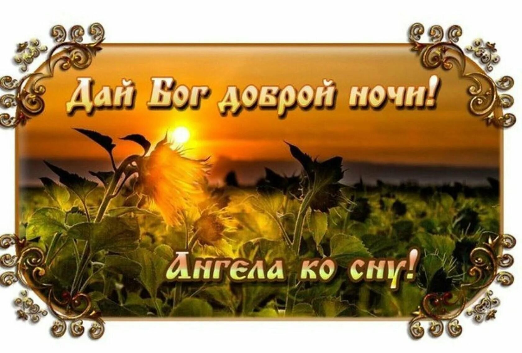 Картинки пожелания ангела спокойной ночи. Ангела ко сну. православные поздравления спокойной ночи. доброй ночи ангела ко сну. ангела хранителя ко сну.