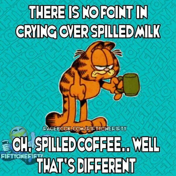 Cry over spilt Milk идиома. Spilt Milk идиома. Crying over spilt Milk. Its no use crying over spilt Milk. Crying over spilt milk идиома перевод