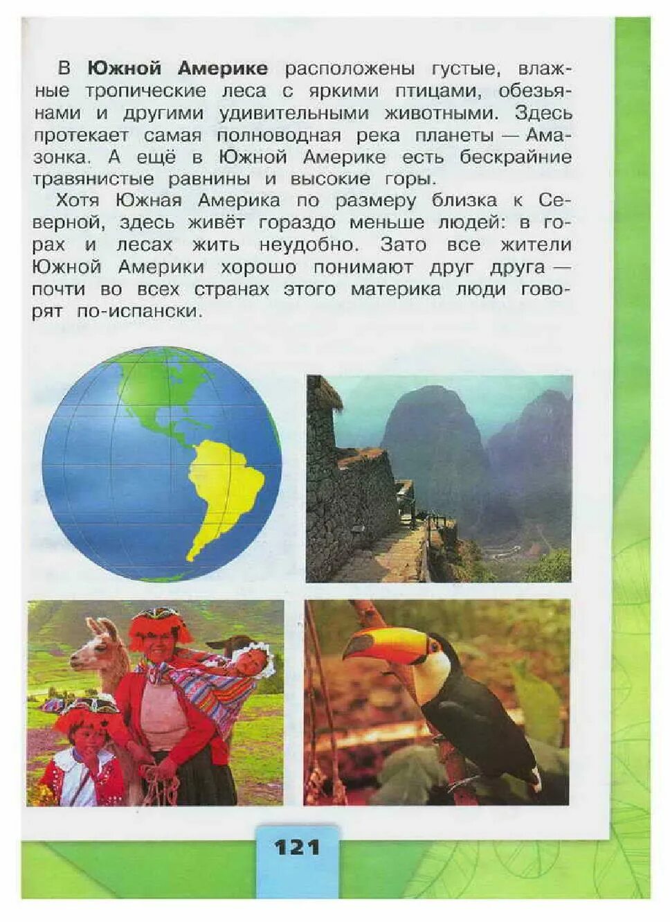 Тропические птицы. Красный ибис птица. Здесь расположены влажные леса с яркими птицами. Материк на котором говорят по испански. Тропический лес.