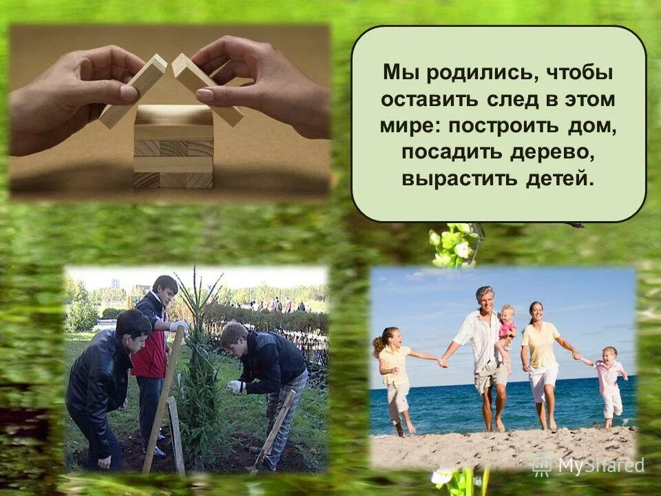 Сына родить дерево. Построй дом посади дерево. Посадить дерево построить. Создал семью посадил дерево. Посадить дерево построить дом и вырастить.