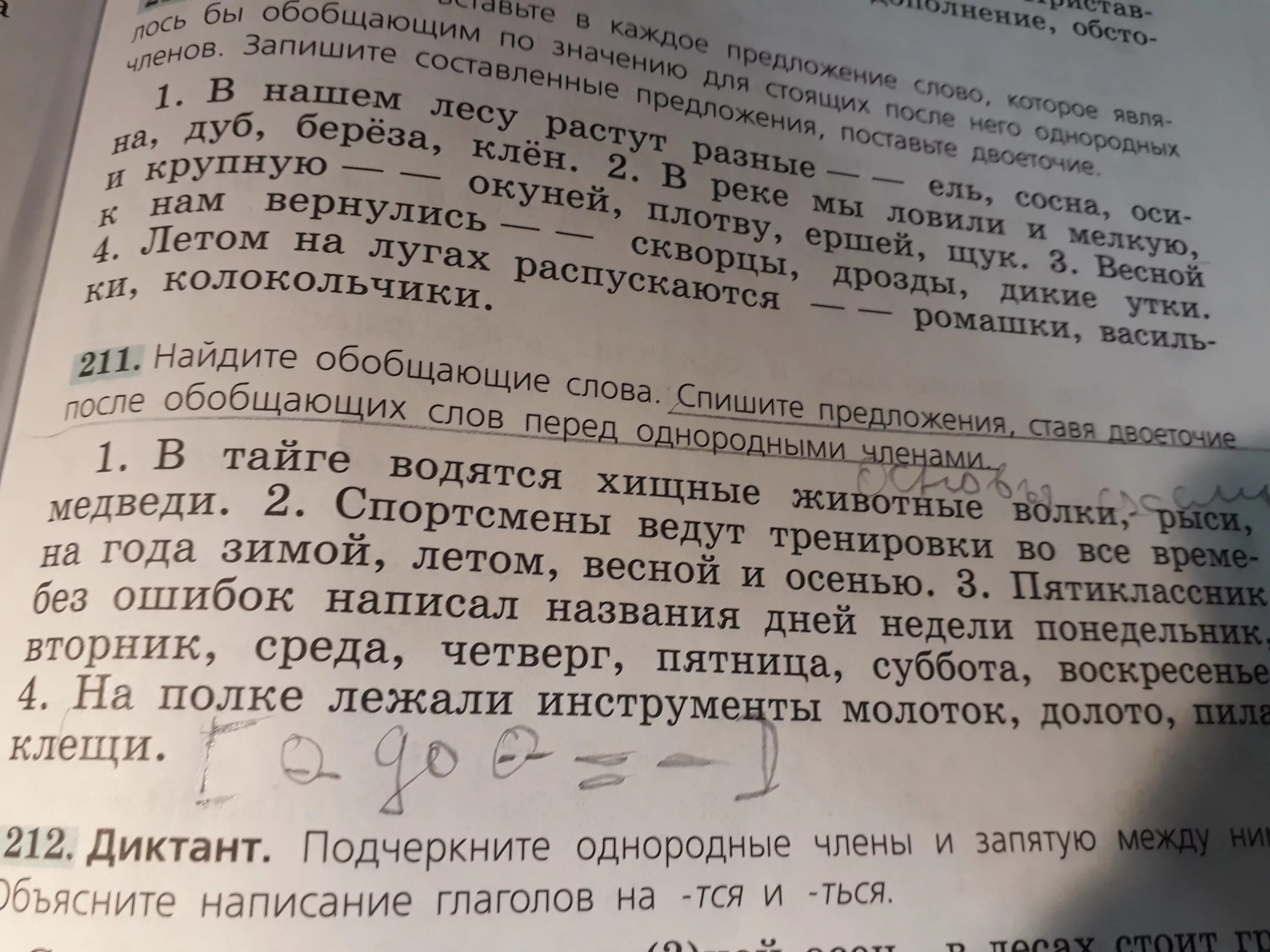 Диктант подчеркните слова. Диктант подчеркните однородные. Синтаксический разбор предложения на полке лежали инструменты.