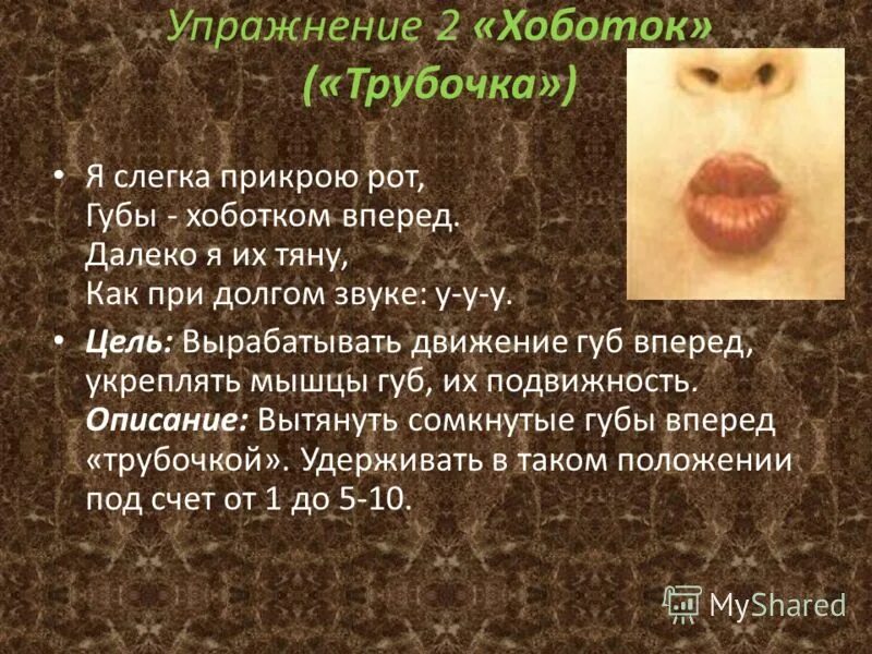 правила постановки ударения в латинском языке схема. звуки долга. глаголы заканчивающиеся на ю. правила долготы и краткости в латинском. звуки долга.