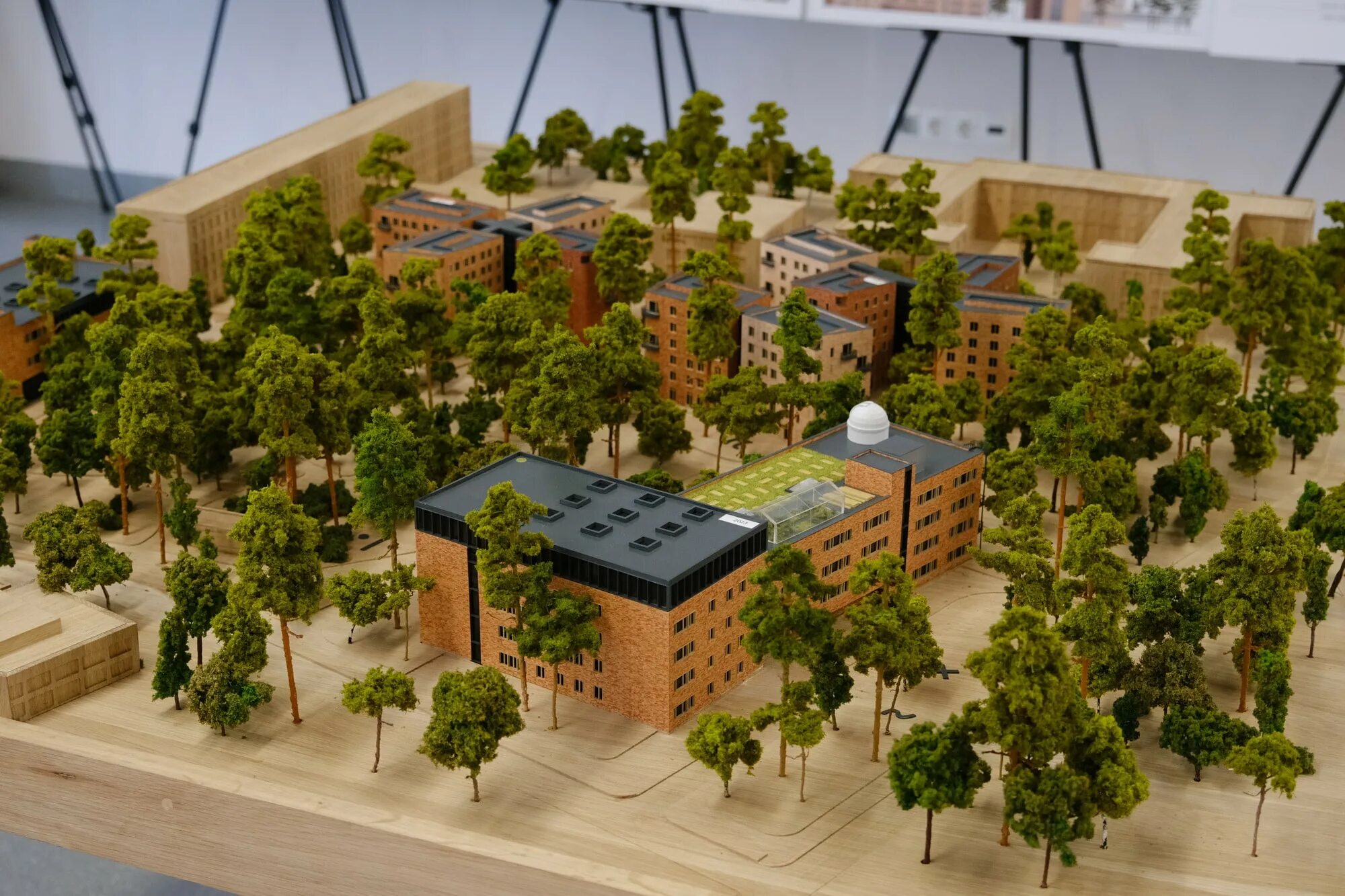 Кампусы мирового уровня. Новосибирск. кампус мирового уровня нгу. новый кампус нгу новосибирск. кампус в академгородке новосибирск. кампус нгу новосибирск проект.
