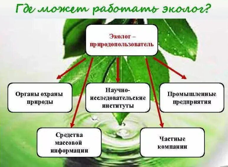 Каким должен быть настоящий эколог презентация. Эколог природопользователь. Профессия эколог. Органы охраны природы. Где может работать эколог.