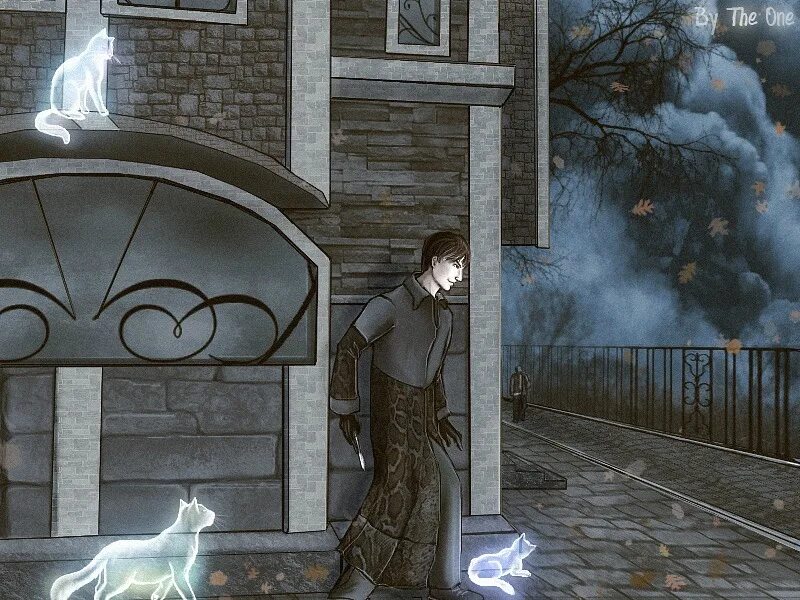 Кот артист мор утопия. Мор кошек. Морда кота. Интересные кошки. Кот на море.