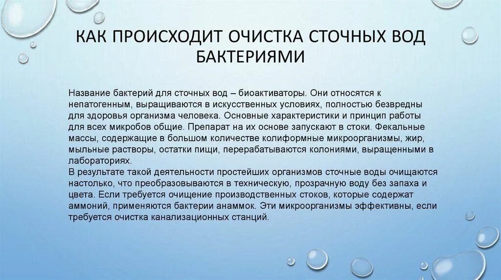 Очистка сточных вод бактериями. Очищение сточных вод бактериями. Очистка сточных вод микроорганизмами. Микроорганизмы в воде. Цель очистки сточных вод