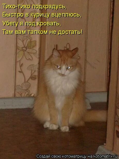 тише крадутся ниже расстегнутые текст