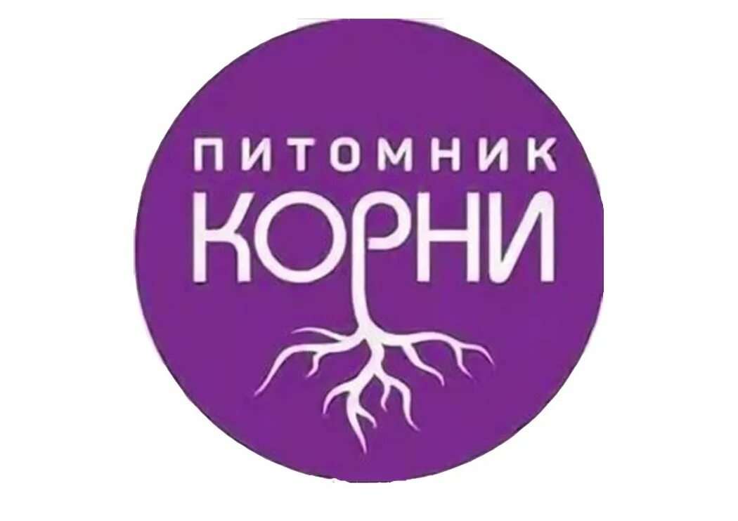 Курские корни каталог. Питомник растений курские корни поселок липовец. Курские корни питомник растений. Курские корни каталог. Питомник корни в тульской.