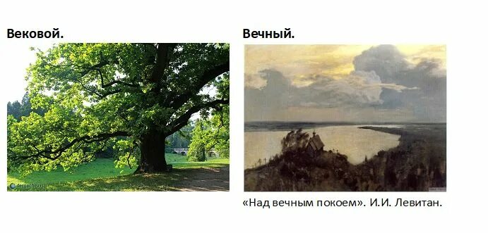 Вековая жизнь пароним. Вековой вечный. Вековой вечный паронимы. Вековой вечный паронимы значение. Вековой и вечный разница.