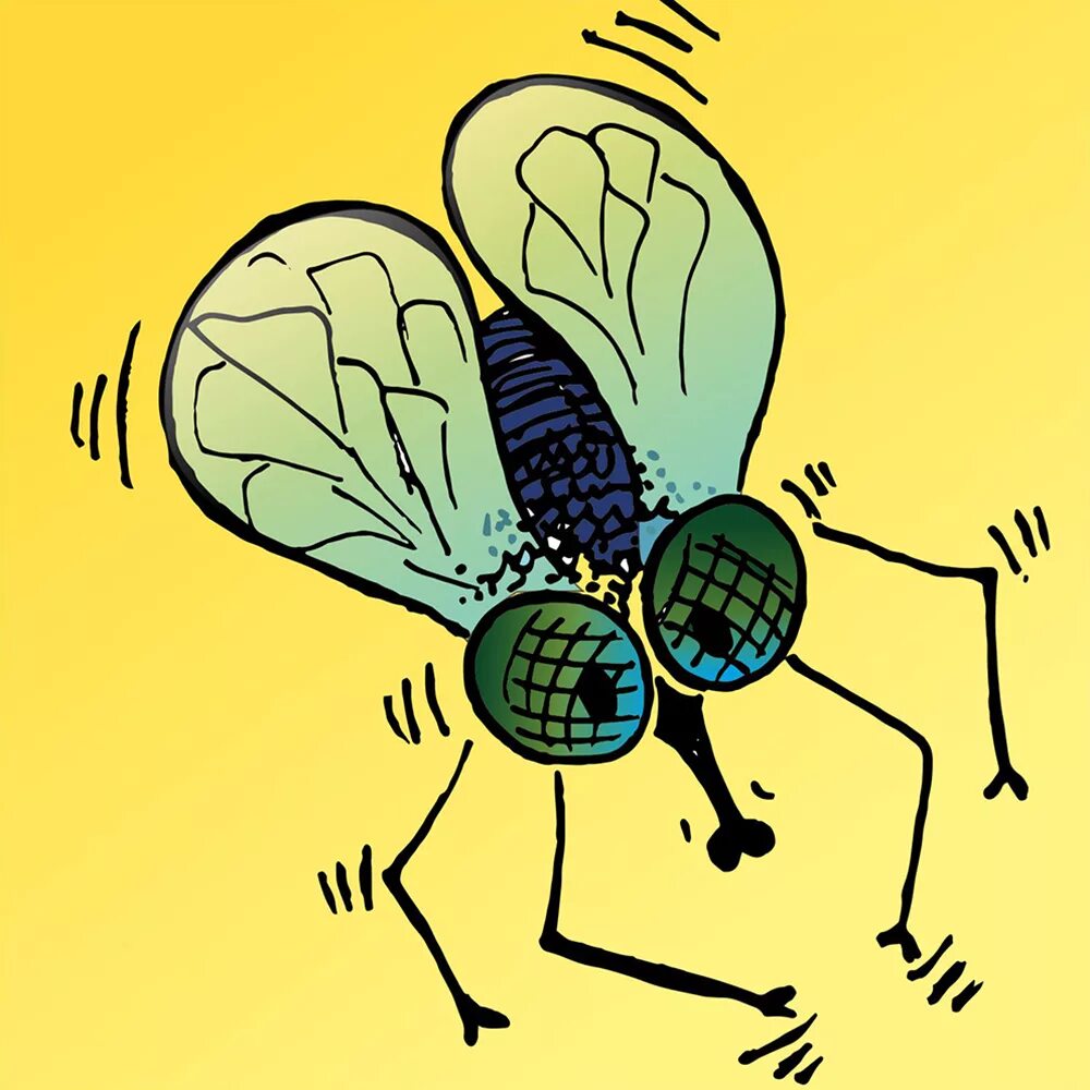 громкий звук. лола и лана 5 сезон мой шумный дом. шумные соседи страшные истории. громкий шум. лего мой шумный дом.