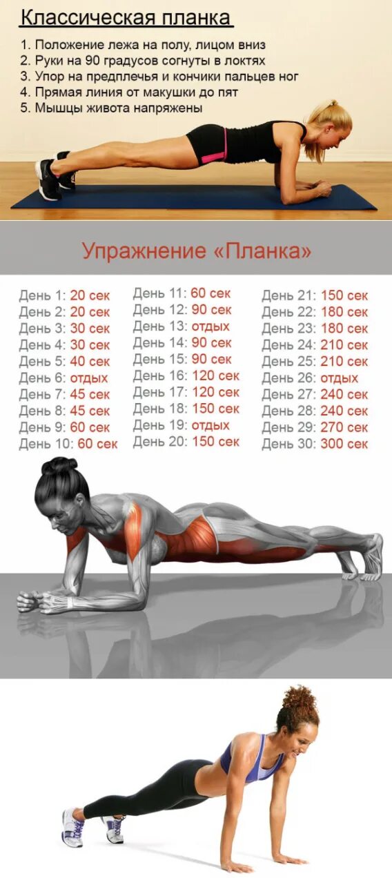 Планку для начинающих. Планка для похудения для начинающих женщин таблица. планка для похудения живота и боков на 30 дней. упражнение планка для похудения живота. стойка планка для похудения для начинающих.