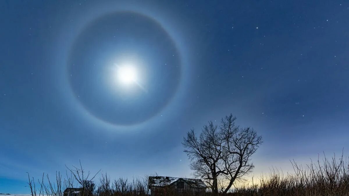 Ученье - свет: лучшие научные фотографии 2019 года Фотогалереи Известия