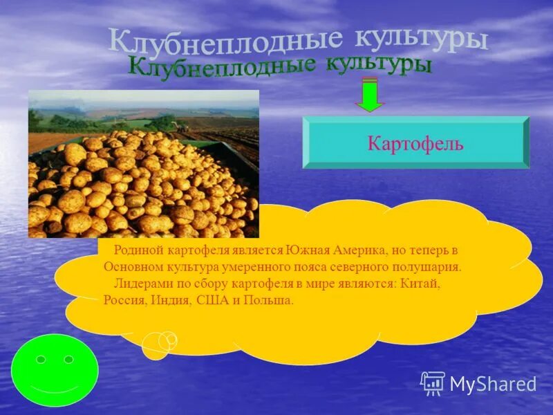 растения южной америки список. культурные растения южной америки. центральноамериканский культурные растения. карта культурных растений. картофель культура.