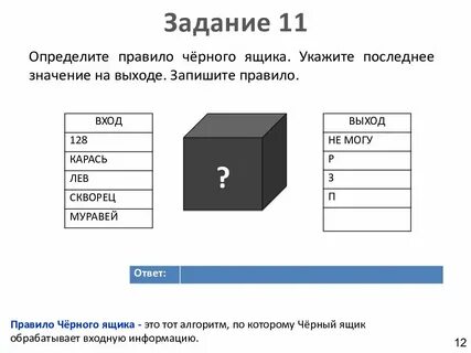 Система черный ящик информатика