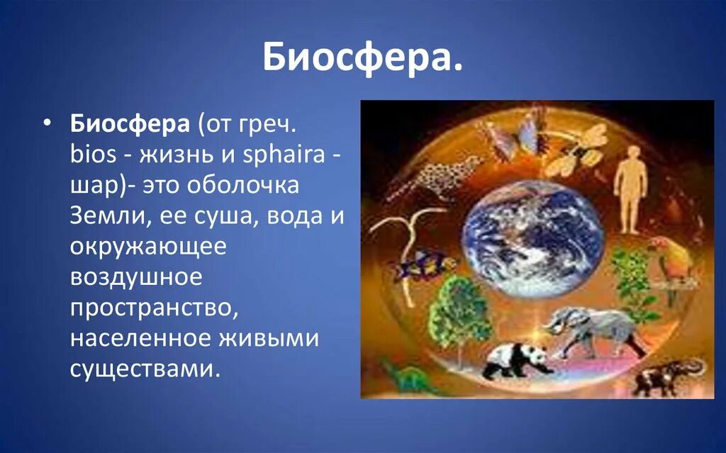 Биосфера среда жизни человека. Биосфера. Биосфера планеты земля. Биосфера это в географии. Биосфера от греч BIOS жизнь и sphaira.