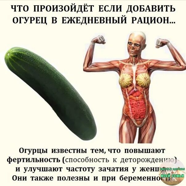 Не до завтрака, когда даже огурец хочется сосать, а не есть
