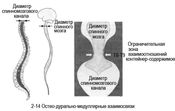 Сагиттальный размер канала норма