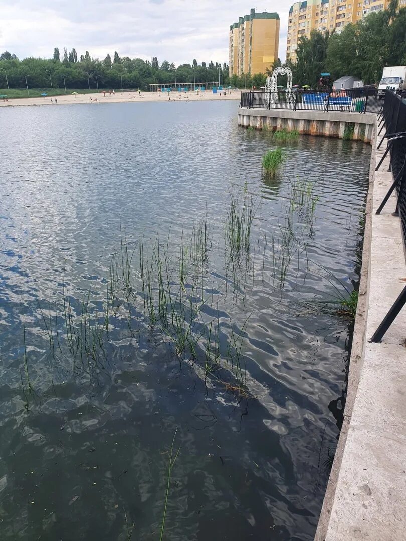 ⛱ Kursk Anapa Yermoshkino Lake 2023 Нетипичный Курск VK
