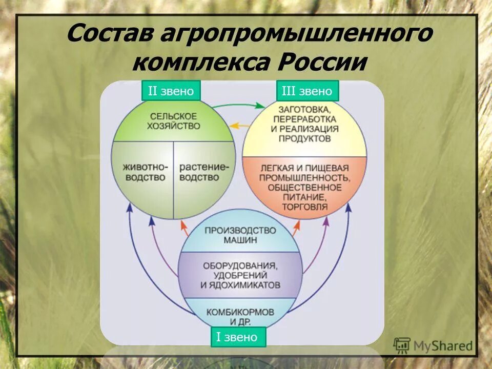 Про версии апк. Схема агропромышленного комплекса география 9. Схема состава АПК России. Схема агропромышленного комплекса России. Составьте схему состав агропромышленного комплекса России.