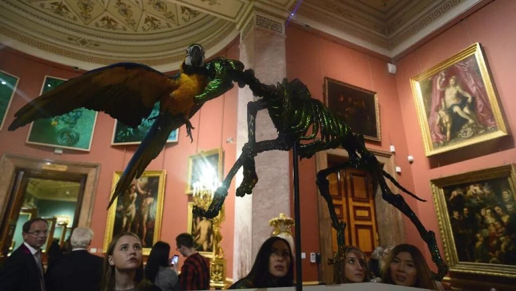 ян фабр выставка в эрмитаже. яна фабра в эрмитаже. музей животных сша. ян фабр в зале эрмитажа. эрмитаж животные.