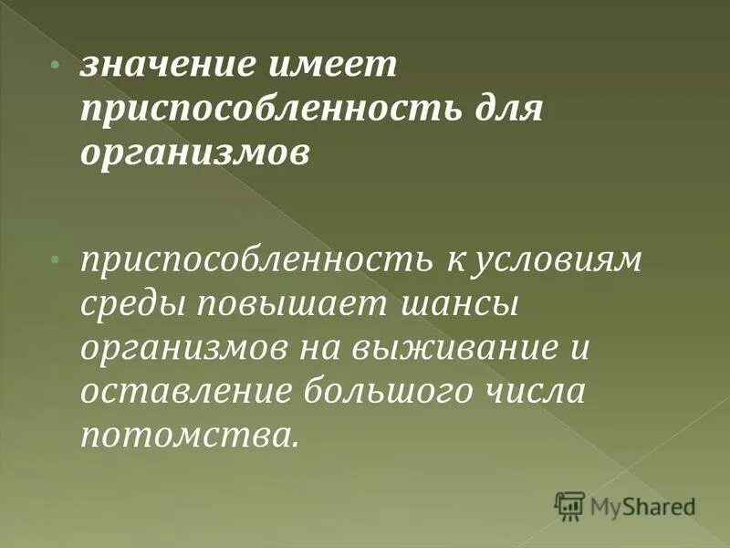 Приспособленность результат действия естественного отбора