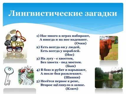 Омоним слова табун