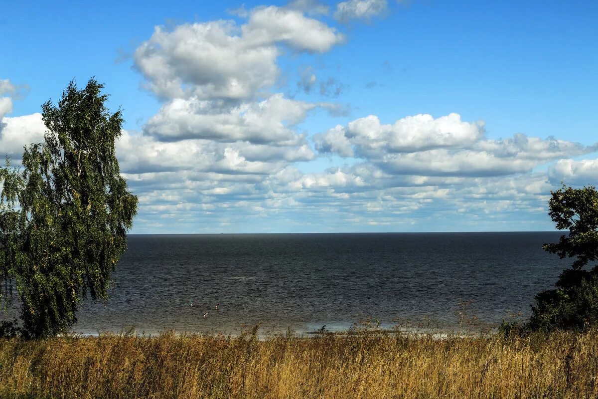 Озеро Ильмень Новгородская. Озеро Ильмень Великий Новгород пляж. Озеро Ильмень деревня Ильмень. Озеро Ильмень Песчаное. Название озера ильмень