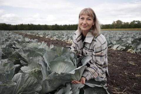 Работа короча