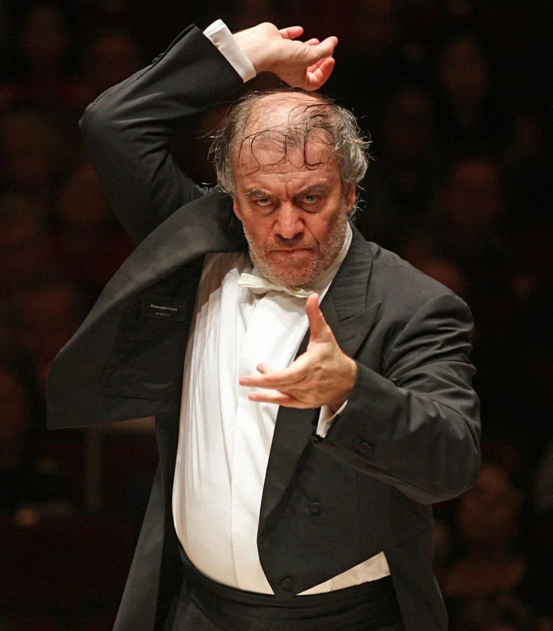 Дирижер валерий абисалович гергиев. Гергиев мариинский театр. Великие дирижеры. Дирижер мира валерий гергиев. Гергиев валерий абисалович.