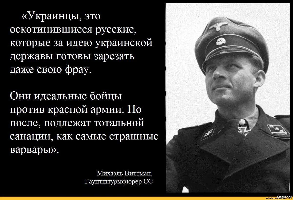 Михаэль Виттман об украинцах. Михаэль Виттманн про украинцев. Михаэль Виттман об украинцах первоисточник. Цитаты немецких генералов. И фебовы презрев угрозы