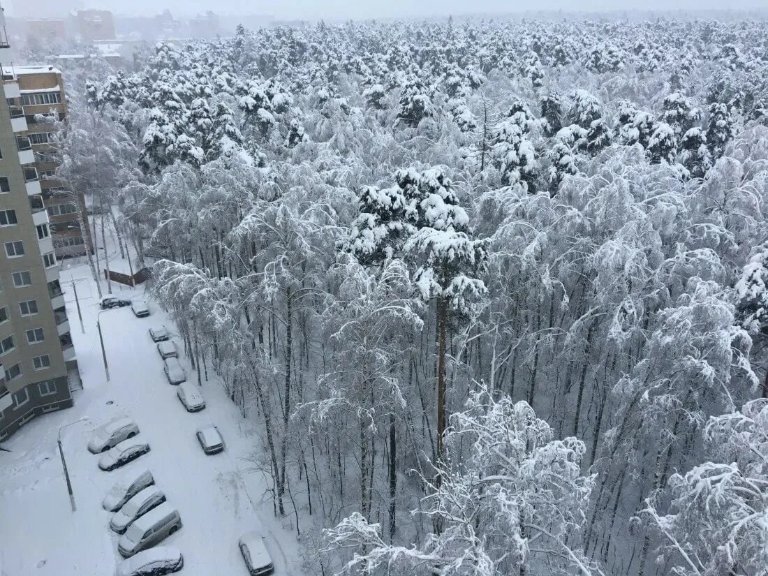 Сколько сегодня снег. Снегопад. Снегопад Самарская область. Зима в России в Самаре снегопад. Холод в Самаре.