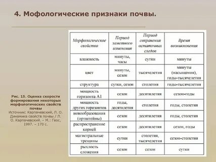 Трава морфологические признаки