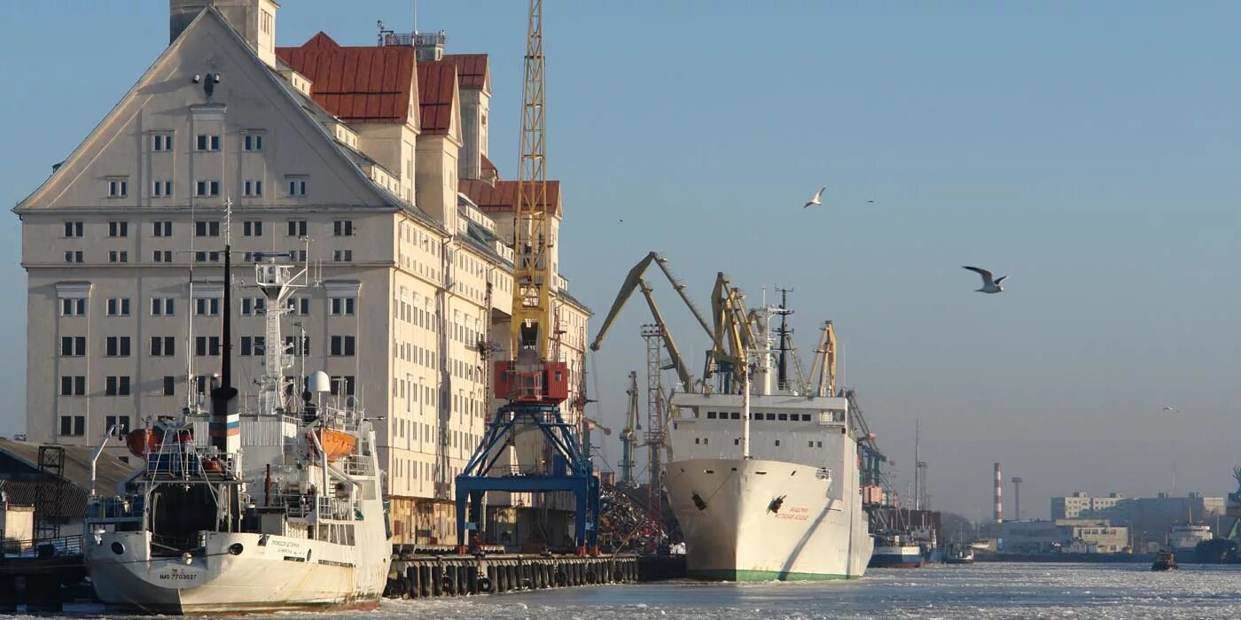 Морской рыбный порт Калининград. Речной порт Калининград. Калининградский порт «порт Калининград». Калининградский морской торговый порт, Калининград.