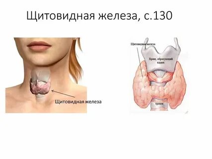Какие операции делают на щитовидке