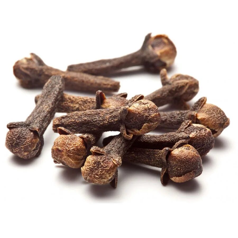 Цветы гвоздики приправа. Гвоздика сушеная. Калампирмунчок хакида малумот. Гвоздика цела золото Индии.