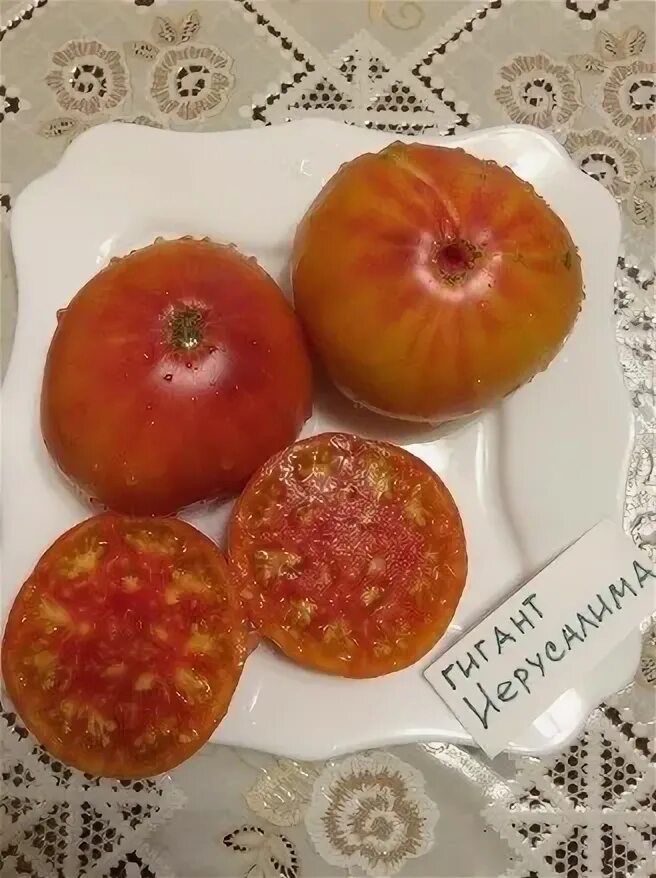 Томат гигант иерусалима. Томат иерусалим. Томат гигантисика. Томат гигант иерусалима. Томат гигант фариана.