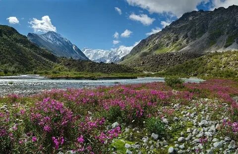 Only mountains