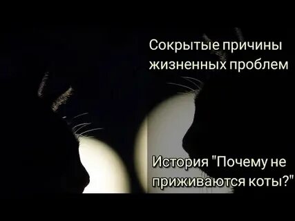 Проблемы история из жизни