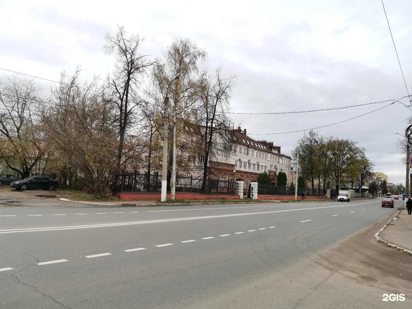 Центр специализированных видов