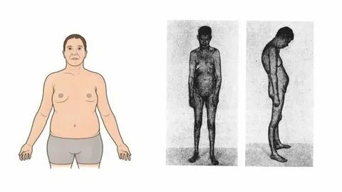 Шәует форумы бар куннилингус