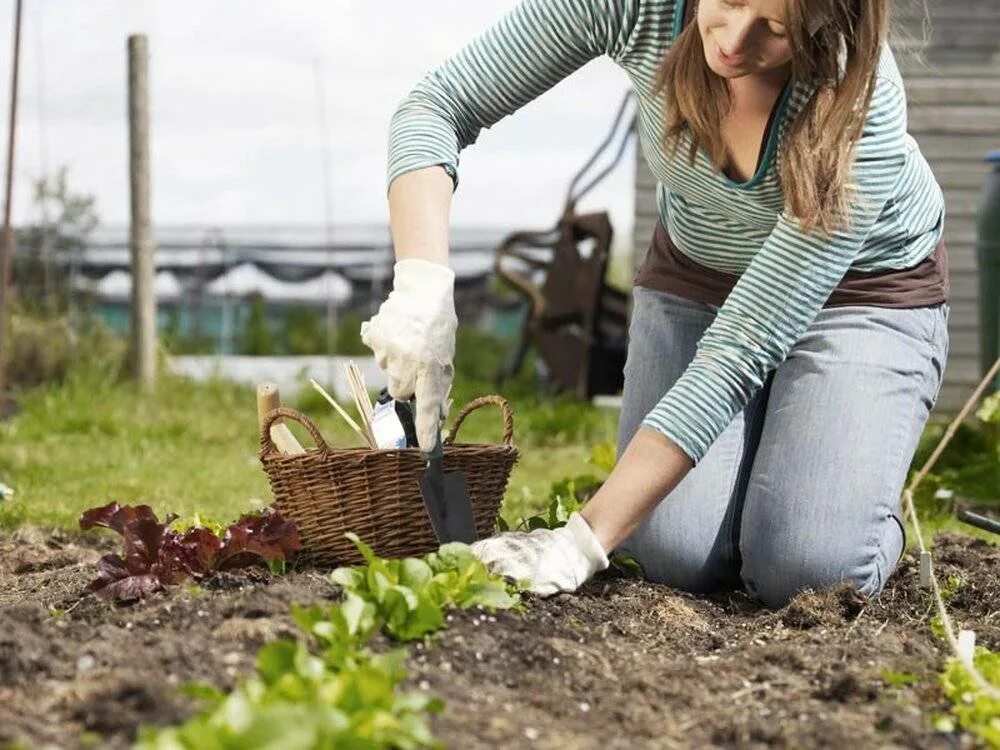 Весенние работы человека. Огород весной. Женщина на грядке. Весенние заботы. Женщина в огороде.