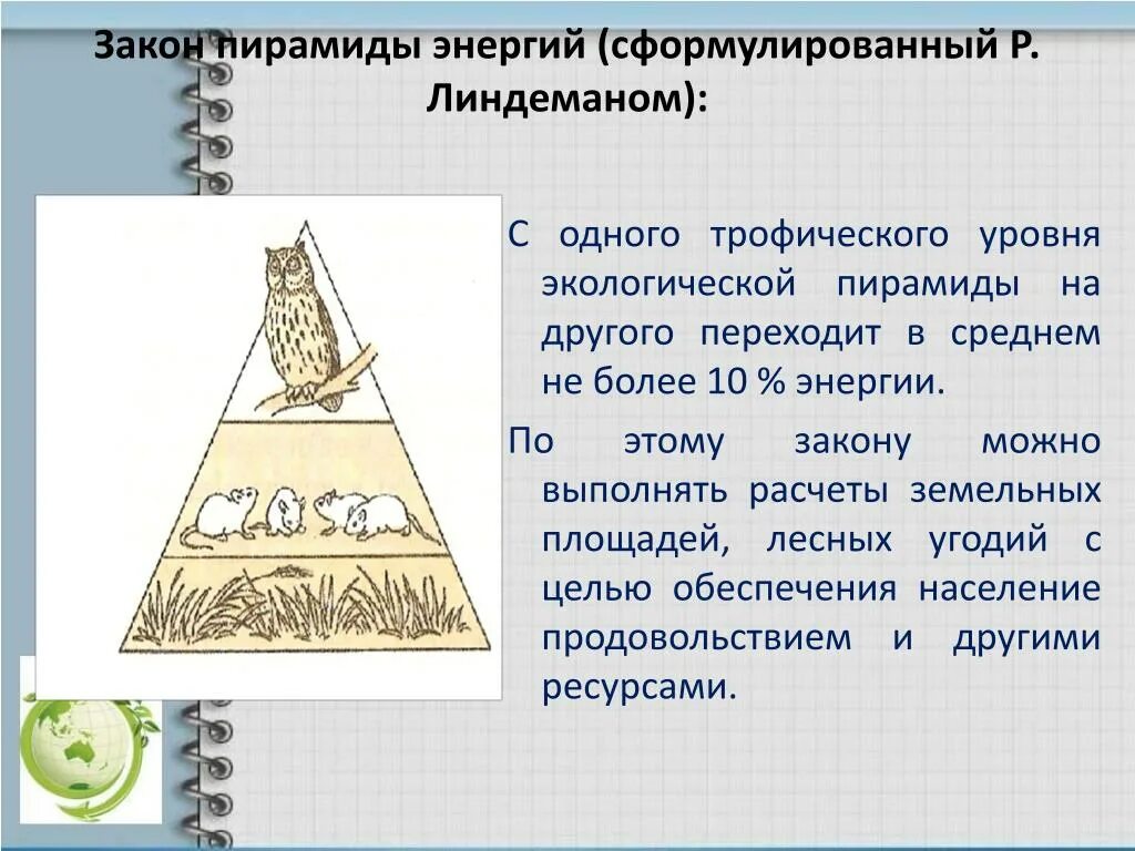 Закон пирамиды энергий примеры В чем отличие пирамид численности и энергии: найдено 81 изображений
