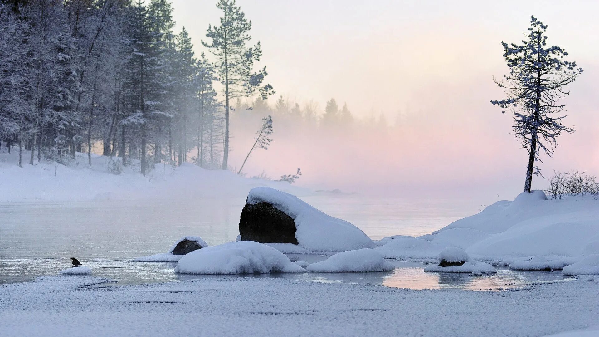 Финляндия пейзажи. Лед в лесу. Озеро в лесу зимой. Река зимой. Сугроб сугробы туман