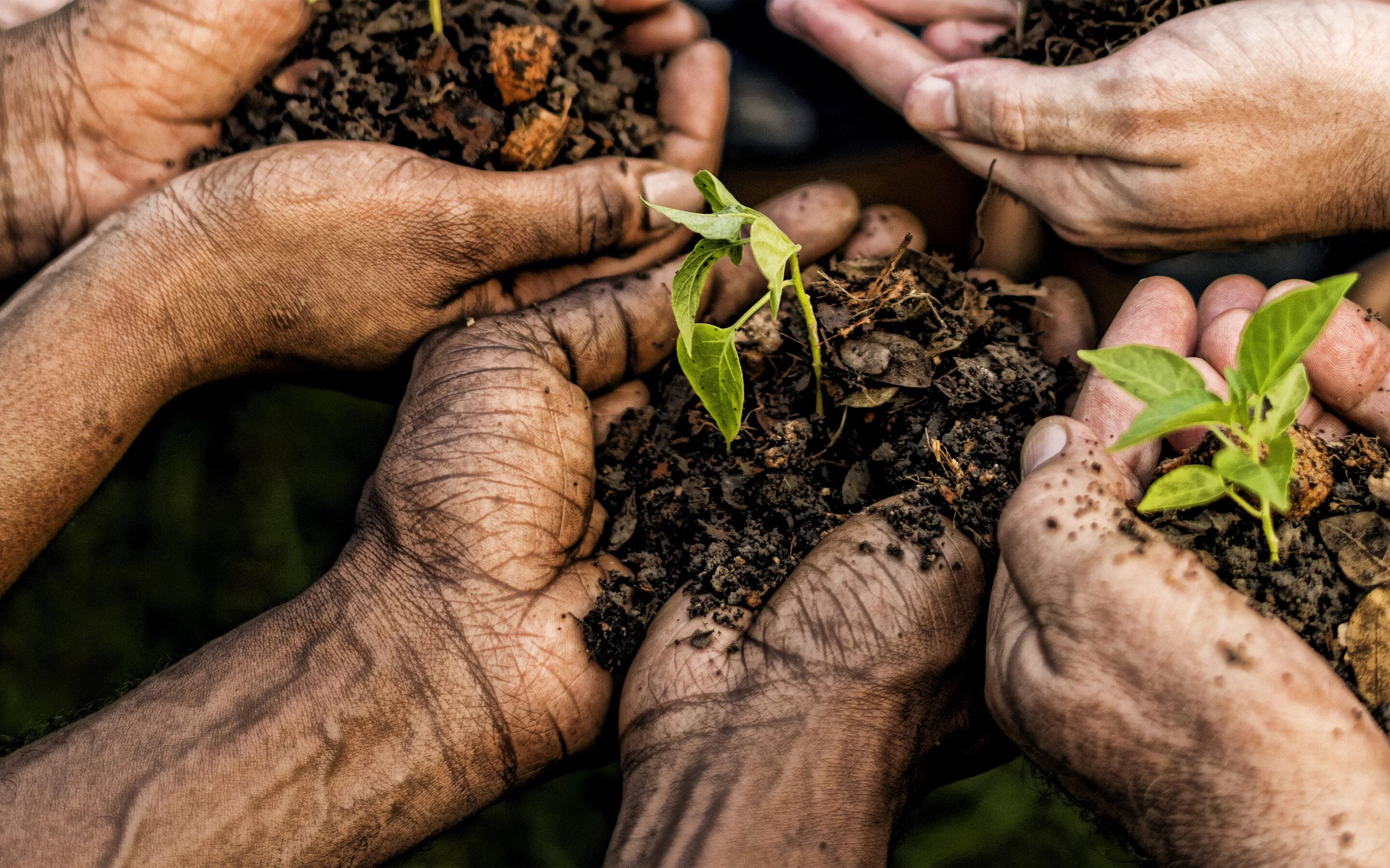 Save ground. Игра про уменьшенных детей. Подросток с ростком. Grounded стрим. Плодородие почвы.