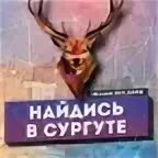 Найдись кореновск
