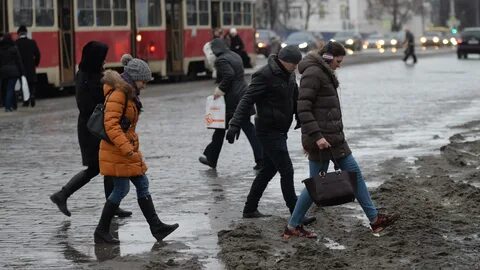 Новости потепление
