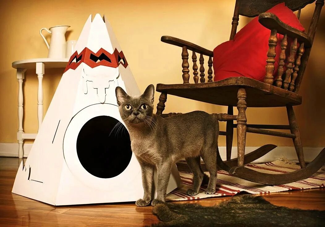 Кошкин домик вигвам. Домик для кота. Креативные домики для кошек. Необычные домики для кошек. Развлечения для кошек