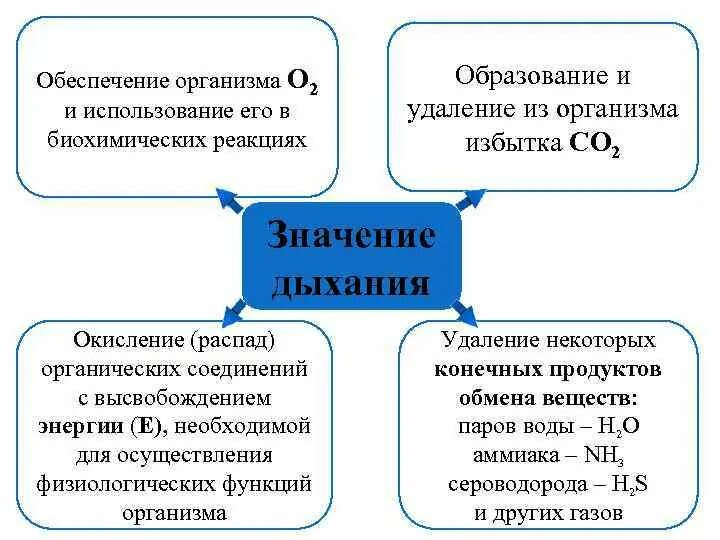3 значения дыхания. 3 значения дыхания