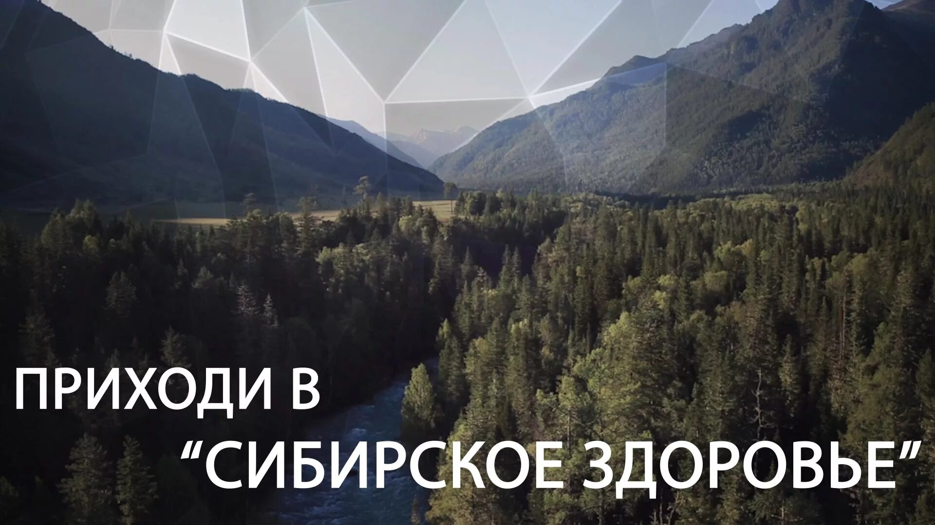 Сибирское здоровье бизнес партнер. Siberian Wellness бизнес. Сибирское здоровье картинки. Сибирское здоровье бизнес фото. Сибирское здоровье логотип.